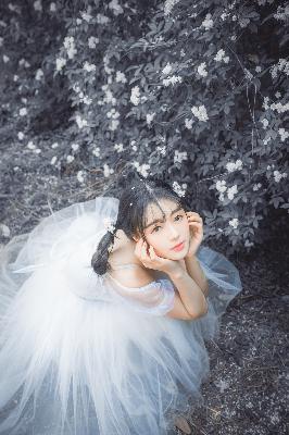 你是我的荣耀电视剧免费观看完整版